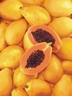 Polpa de Fruta Congelada de Mamão De Marchi